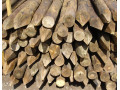 Postes de madera tratada en autoclave